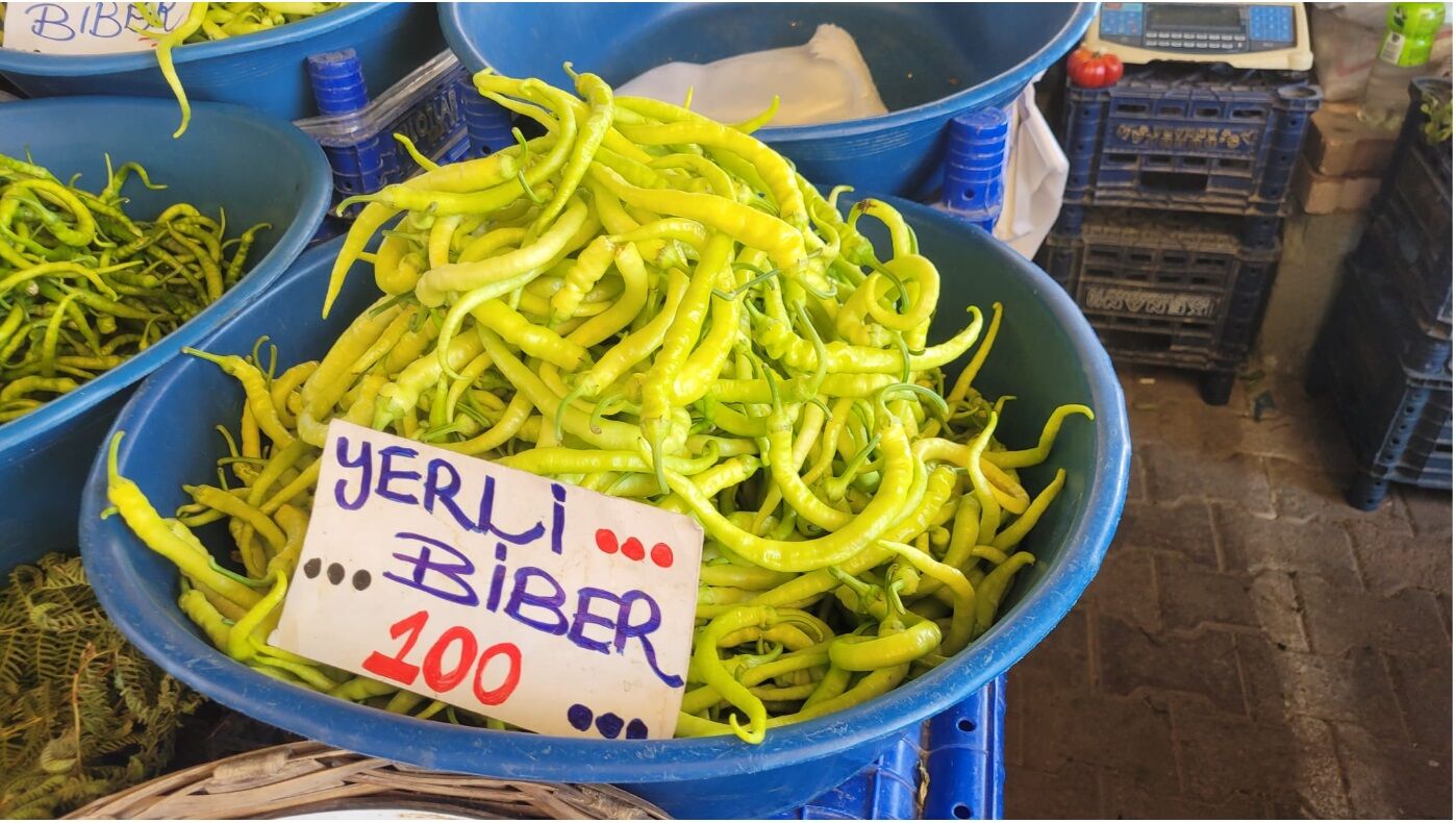 Adsız111234