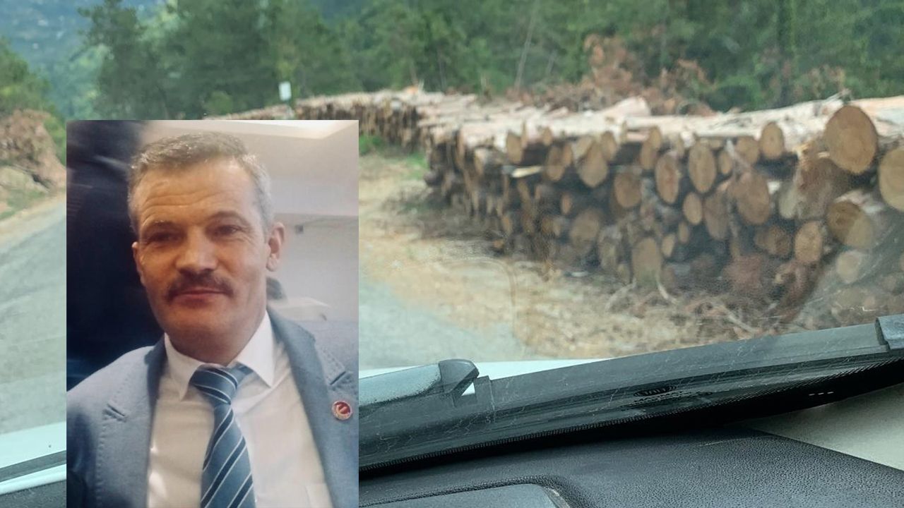 YRP'den odun ve tomruk uyarısı "Yeni bir felakete davetiye çıkarılmasın"